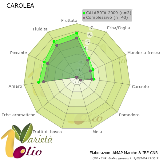 Profilo sensoriale medio della cultivar  CALABRIA 2009